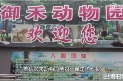 御禾动物园老虎笼子关狗 鳄鱼池养鹅